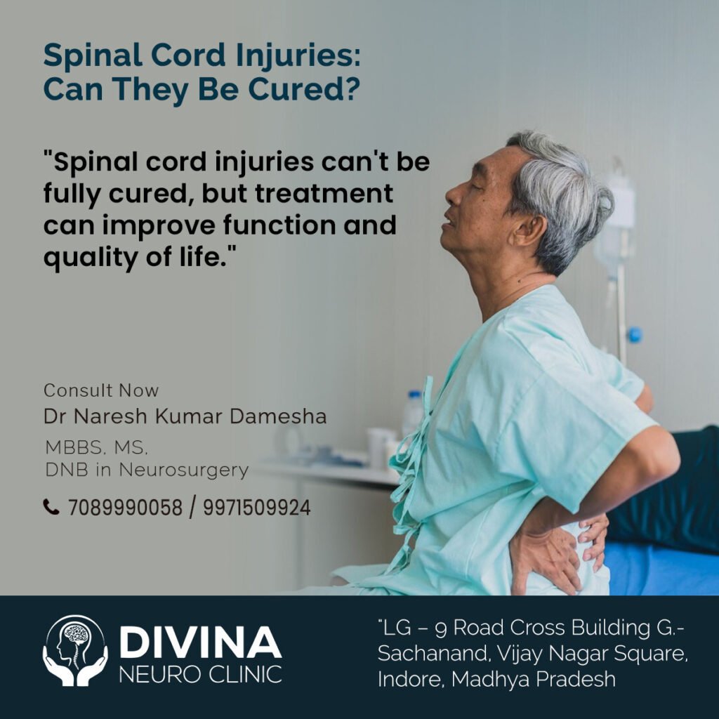 Can Injury Spinal Cord be Cured?